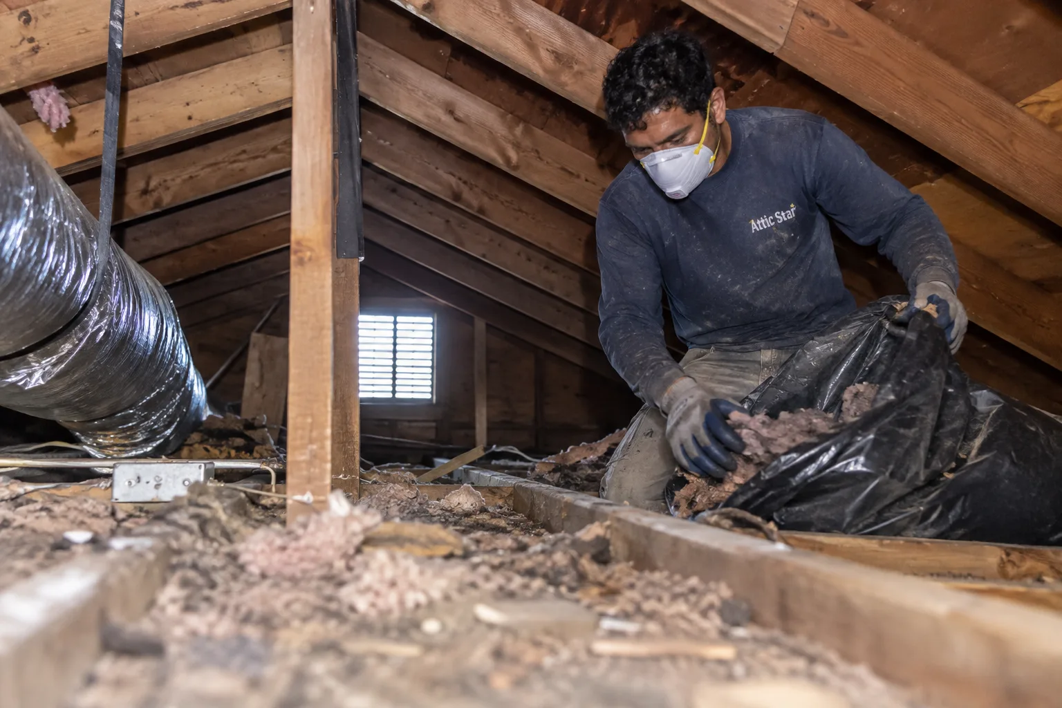 Bagging removed insulation and debris from an attic floor into a heavy-duty trash bag during a whole-attic clean-up.