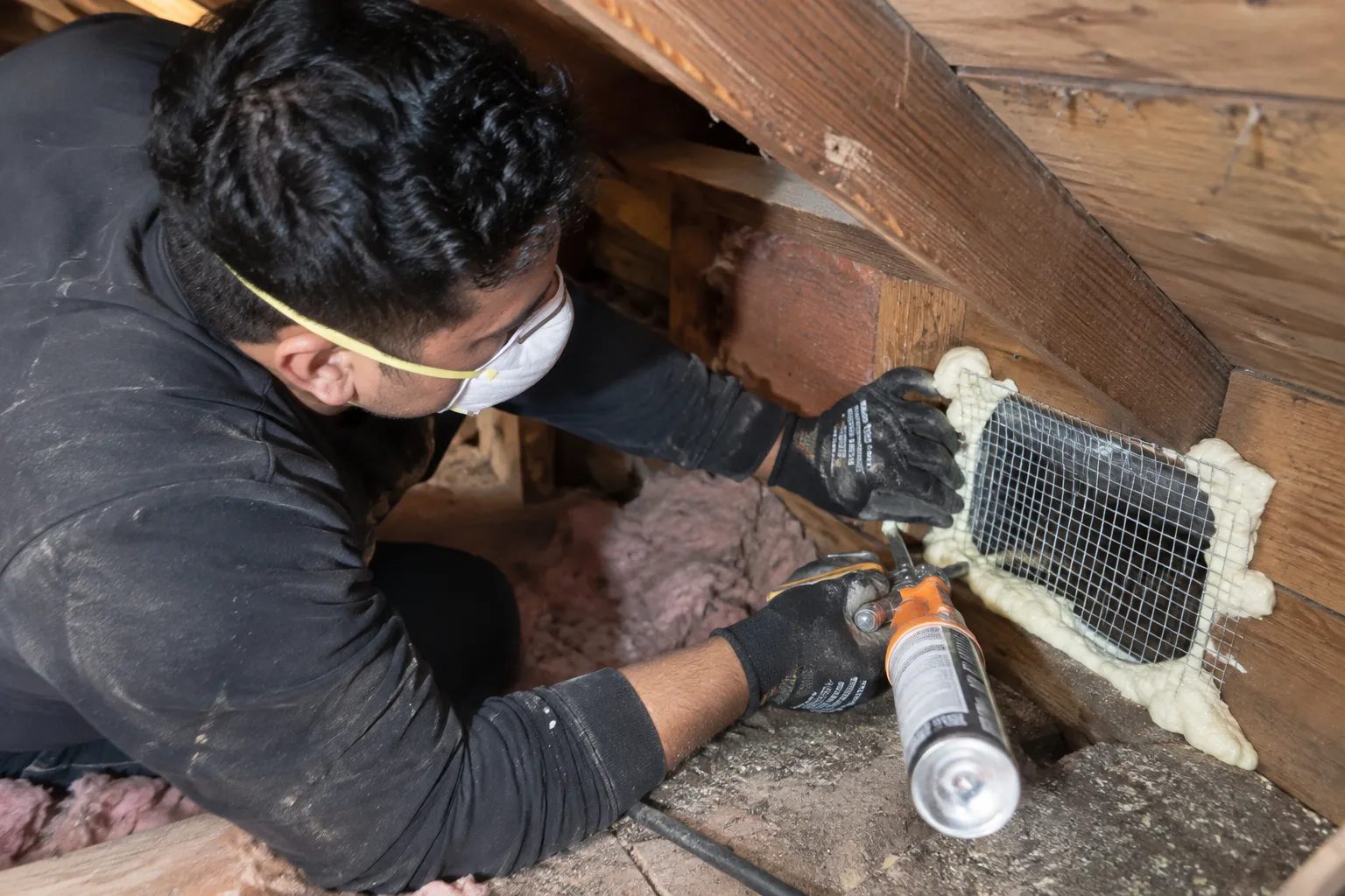 Applying an enzyme-based sanitizing spray to attic insulation after dead animal removal to treat odor and bacteria at the source.